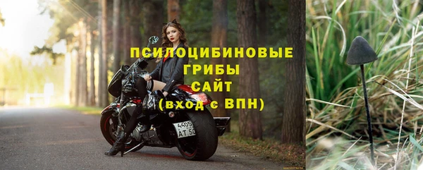 МДПВ Абаза