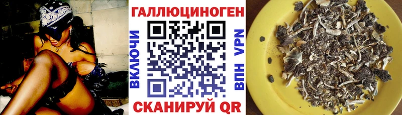 где можно купить наркотик  Горячеводский  Псилоцибиновые грибы Psilocybe 
